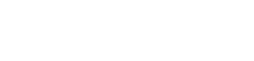 AutoNation