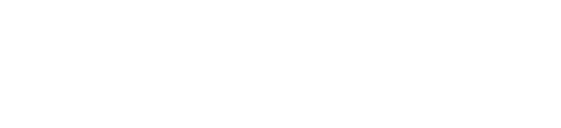 Newzip